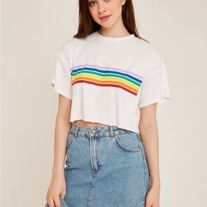 Subdued Cropped Tshirt